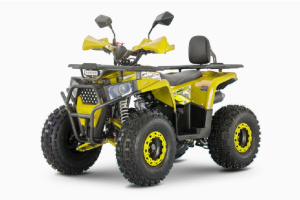 Квадроцикл ATV WELS Thunder AX 125 Pro